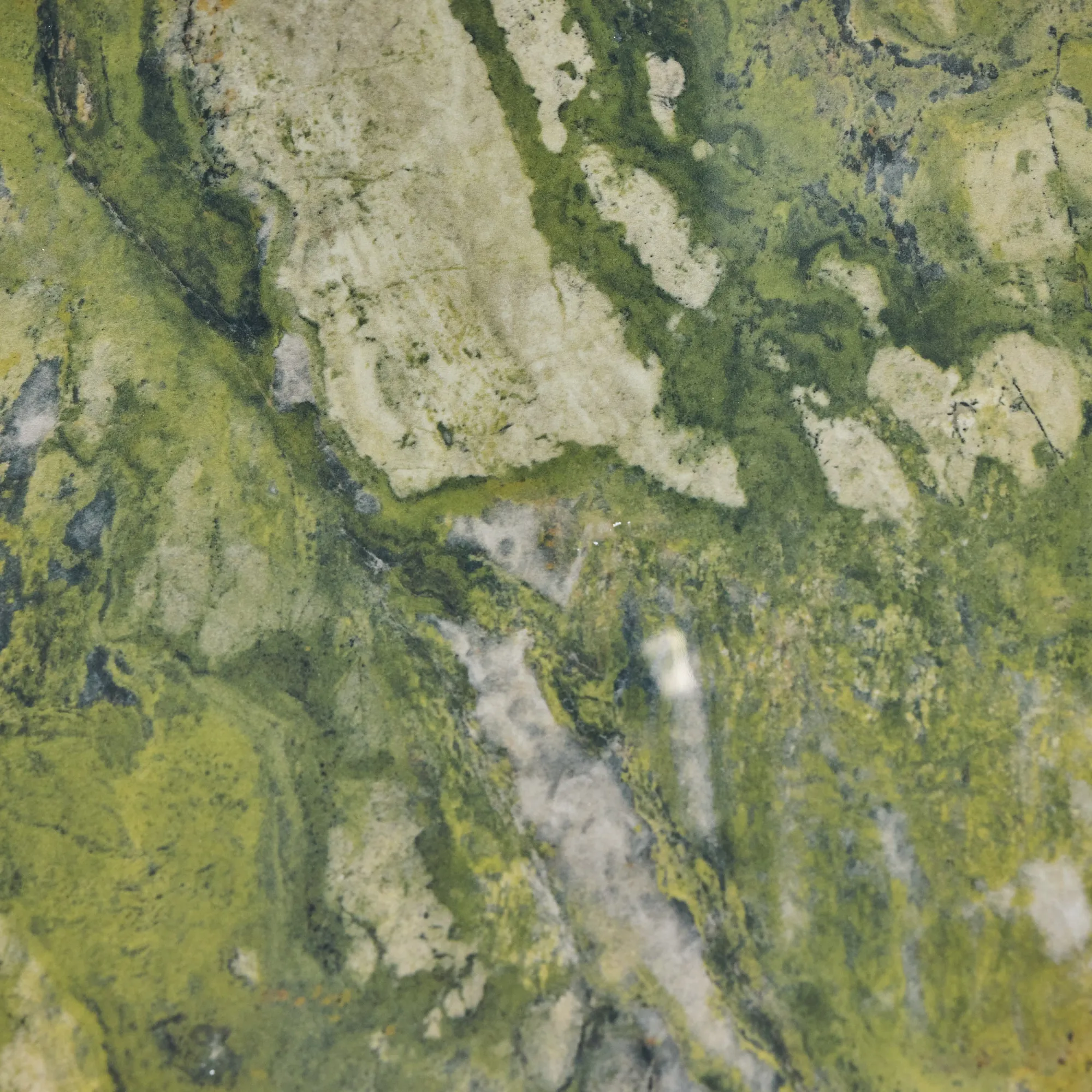 Green Tide 4