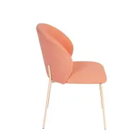 Flamingo Pink