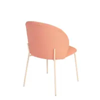 Flamingo Pink