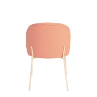 Flamingo Pink